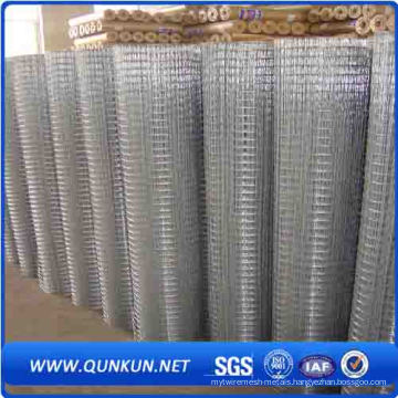 PVC Coated and Galvanized Weled Wire Mesh for Security